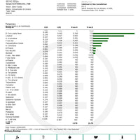 2gr Cloud - Zero (CBG:CBD) Disposable Vape Pens - cannarefined