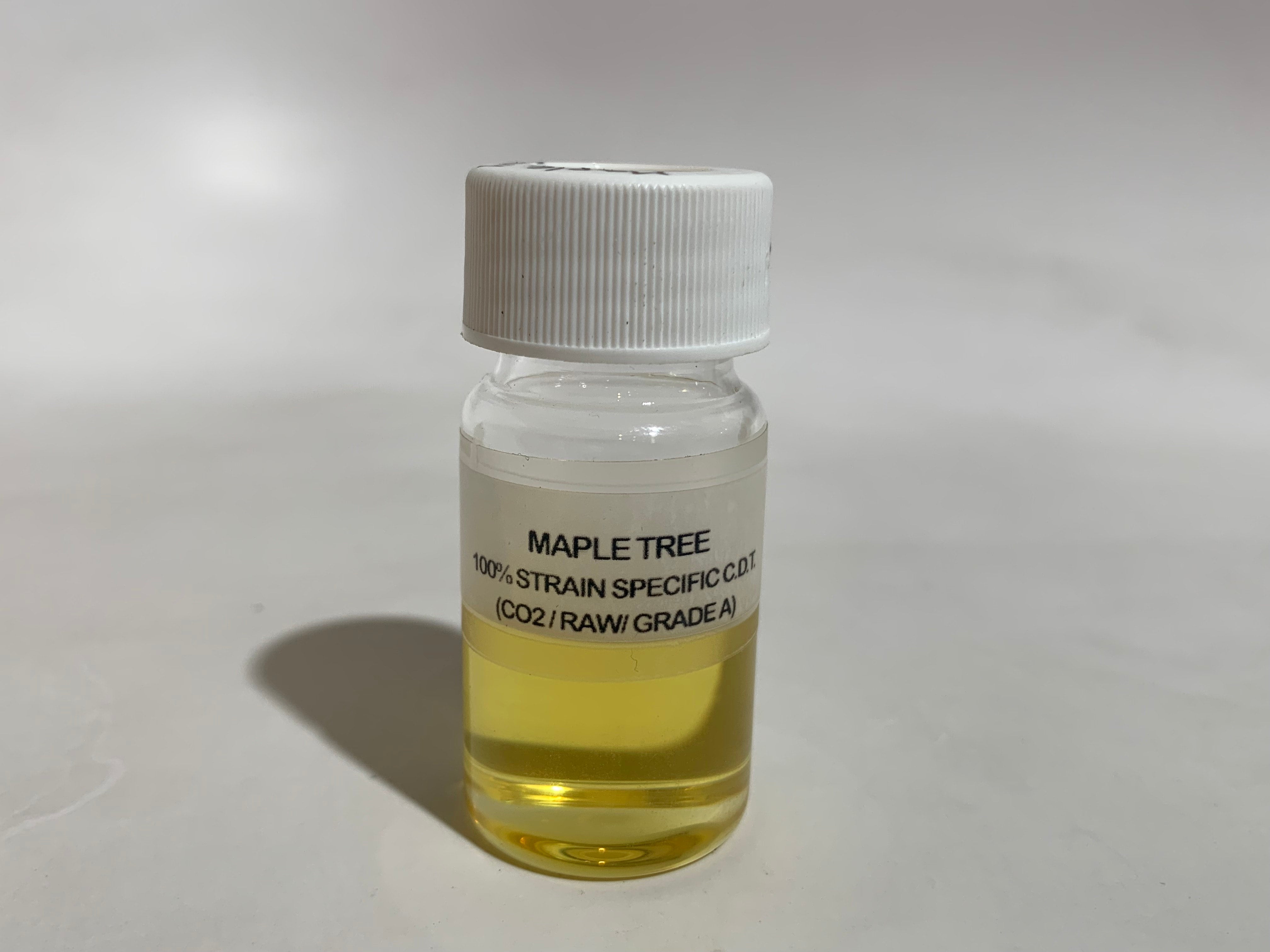 Maple Tree (RAW) CDT